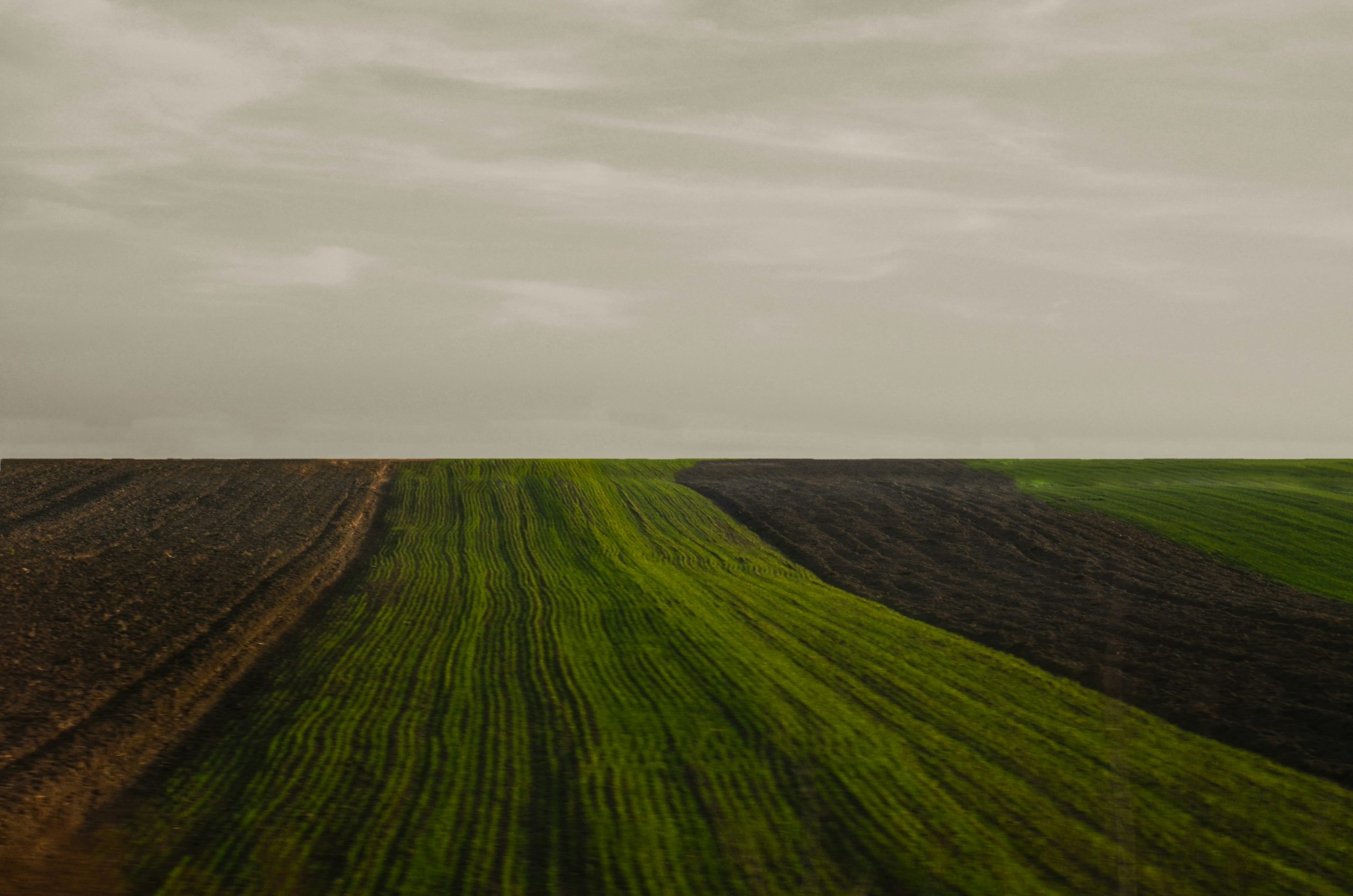 Building Brand Trust Beyond Green Claims